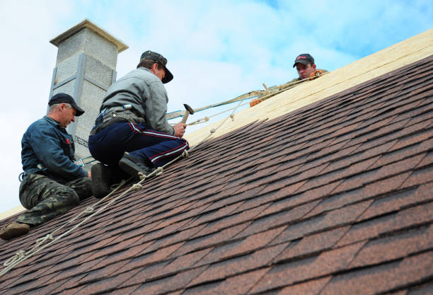 Best Local Roofing Companies  in Willow Park, TX